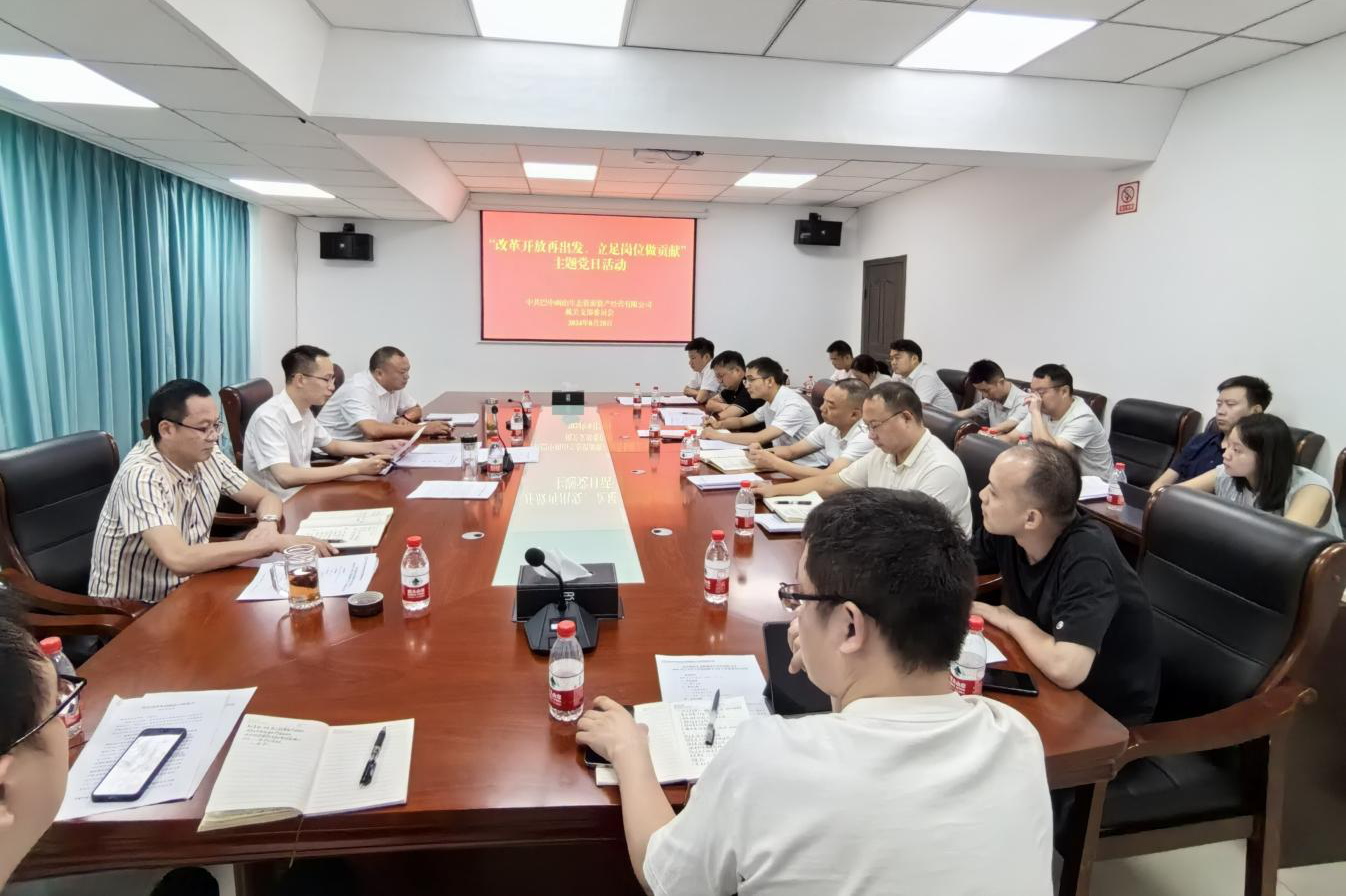 巴中兩山公司開展“改革開放再出發(fā)、立足崗位做貢獻”主題黨日活動